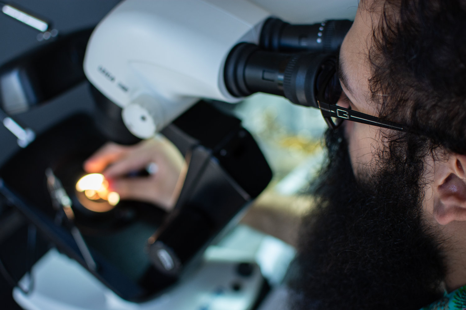 A jewelry appraisal being performed at Florida Diamond Center